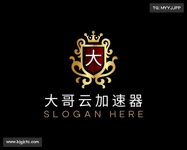 了解大哥云加速器